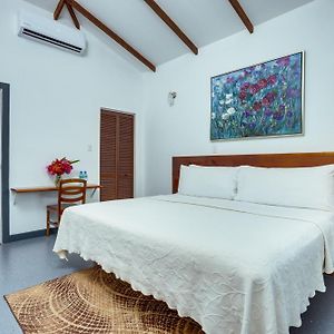 Comfort King Room
